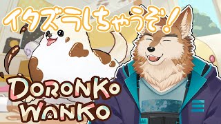どろんこワンコがいたずたしちゃうポメ！！！