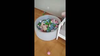 Jack Russell Prezes playing dry pooll with ball by MilaJRT 193,208 views 5 years ago 1 minute, 10 seconds