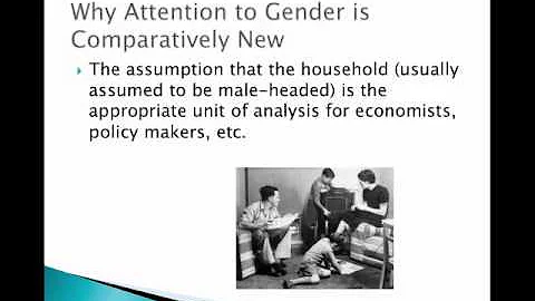 Okin Gender Inequality and Cultural Differences
