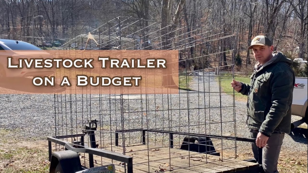 Самодельный прицеп для перевозки скота и есть ли у нас кролики?