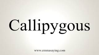 Callipygous synonyms - 39 Words and Phrases for Callipygous