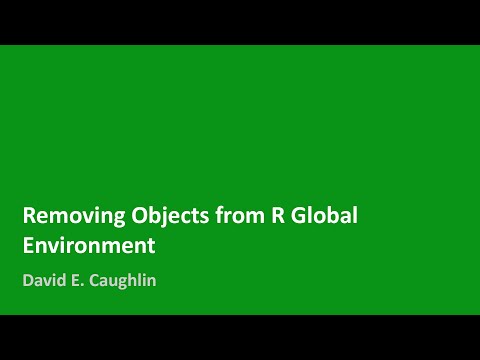 Removing Objects from R Global Environment