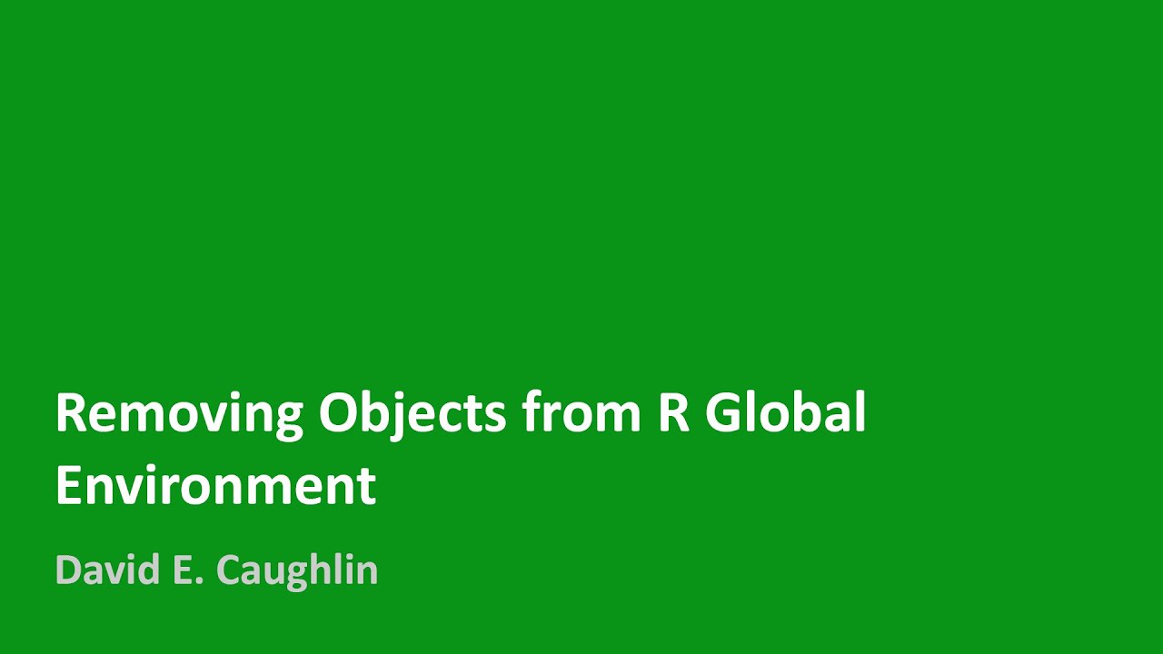 Removing Objects From R Global Environment