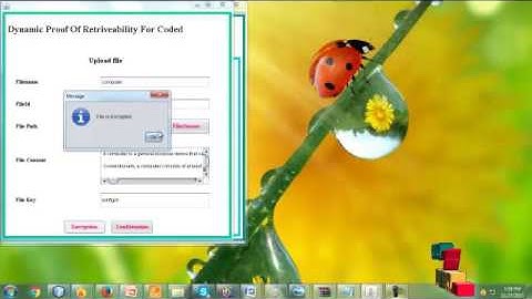 Dynamic Proofs of Retrievability for Coded Cloud Storage Systems | Final Year Projects 2016