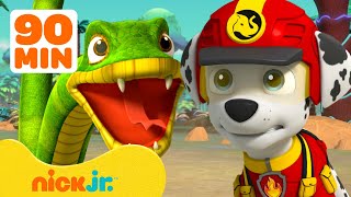 PAW Patrol Jungle Pups Find a Hidden Jungle! 🐍 w/ Marshall \u0026 Rubble | 90 Minutes | Nick Jr.