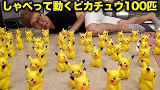 提供:タカラトミー ねえ HelloPika(ハロピカ) http://www.takaratomy.c...