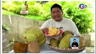 Cempedak in Bukidnon