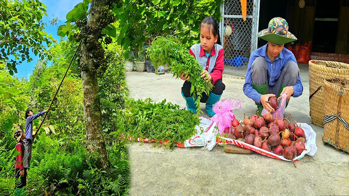 Two orphans went together to pick vegetables and fruits in the forest to sell.