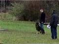 Schutzhund SchH3 Protection