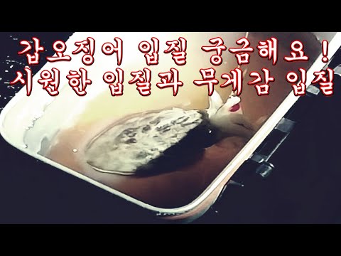 갑오징어 낚시 입질파악  갑오징어입질 2가지 패턴 영상 봉남이행님