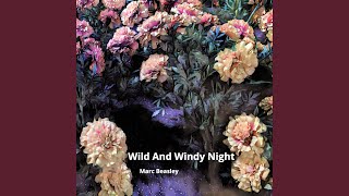 Video thumbnail of "Marc Beasley - Wild and Windy Night"