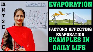 Evaporation| Factors Affecting Evaporation| Examples Of Evaporation In Daily Life| Class IX,NTSE,XI