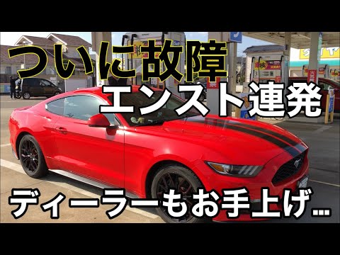 アメ車 マスタングが故障してエンスト連発！ ディーラーもお手上げ！？【愛車】廃車確定か・・・