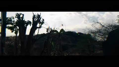 Continuous Learning and Adaptation Official Trailer