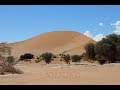 Namibie le dsert du namib