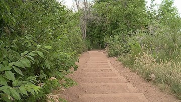 What to know about rattlesnake danger while hiking in Colorado