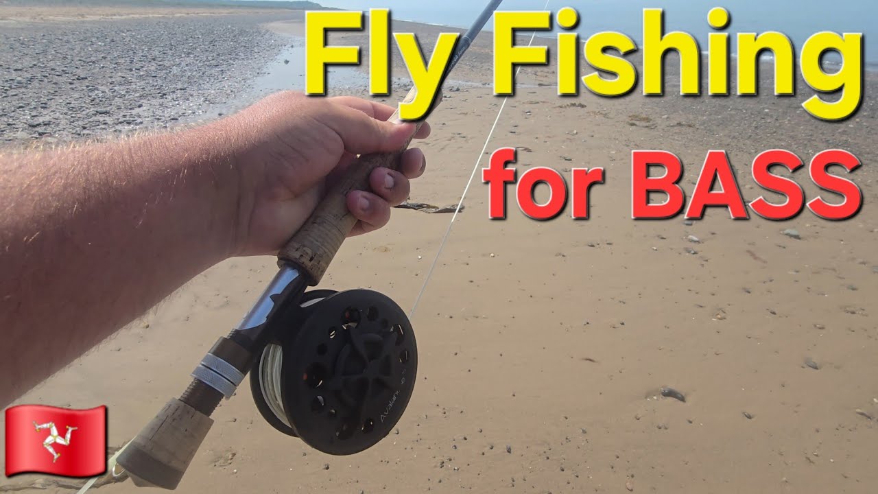 Fly Fishing for bass🇮🇲🇮🇲🎣🎣🐟🐟#Bass #fishing