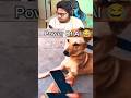 Try Not to Laugh Challenge 61 🤣 #AyushMore #funny #viral #shorts