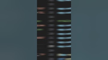 Verify Email in Flask Contact Form