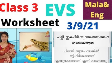 class 3 EVS worksheet 3/9/21| victers 3rd std parisarapadanam worksheet 3/9/21| @talknwalk5886
