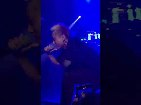 Asia Freaks Vo.4 五木Five Wood - 漂