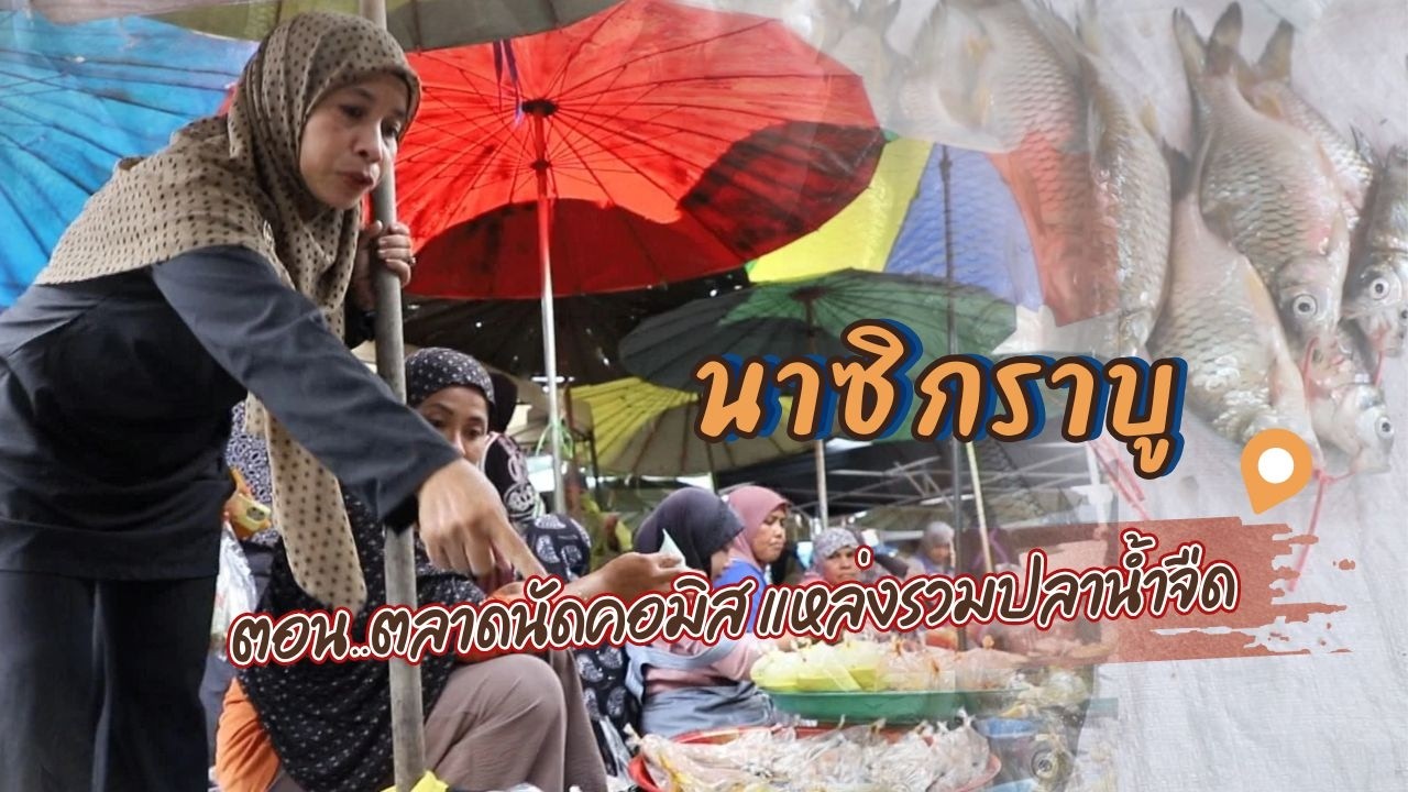 รายการนาซิกราบู ตอน.. ตลาดนัดคอมิส แหล่งรวมปลาน้ำจืด