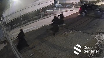 STOPPED by Deep Sentinel #95 - Ouch! That’s Gotta Hurt!