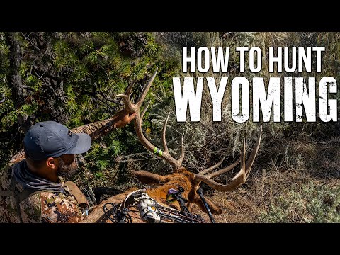 Video: Apa yang mereka lombong di Wyoming?