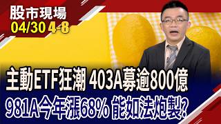 981a 00403a433 981a2026043048