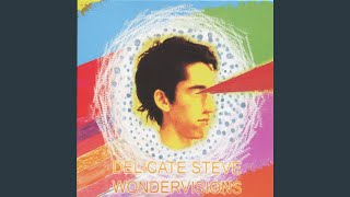 Video thumbnail of "Delicate Steve - Wondervisions"