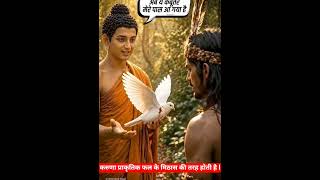 Compassion is the sweetness of natural fruits. #compassion #acharyaprashant #moral #buddha #lesson