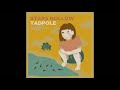 Stars Hollow - Tadpole