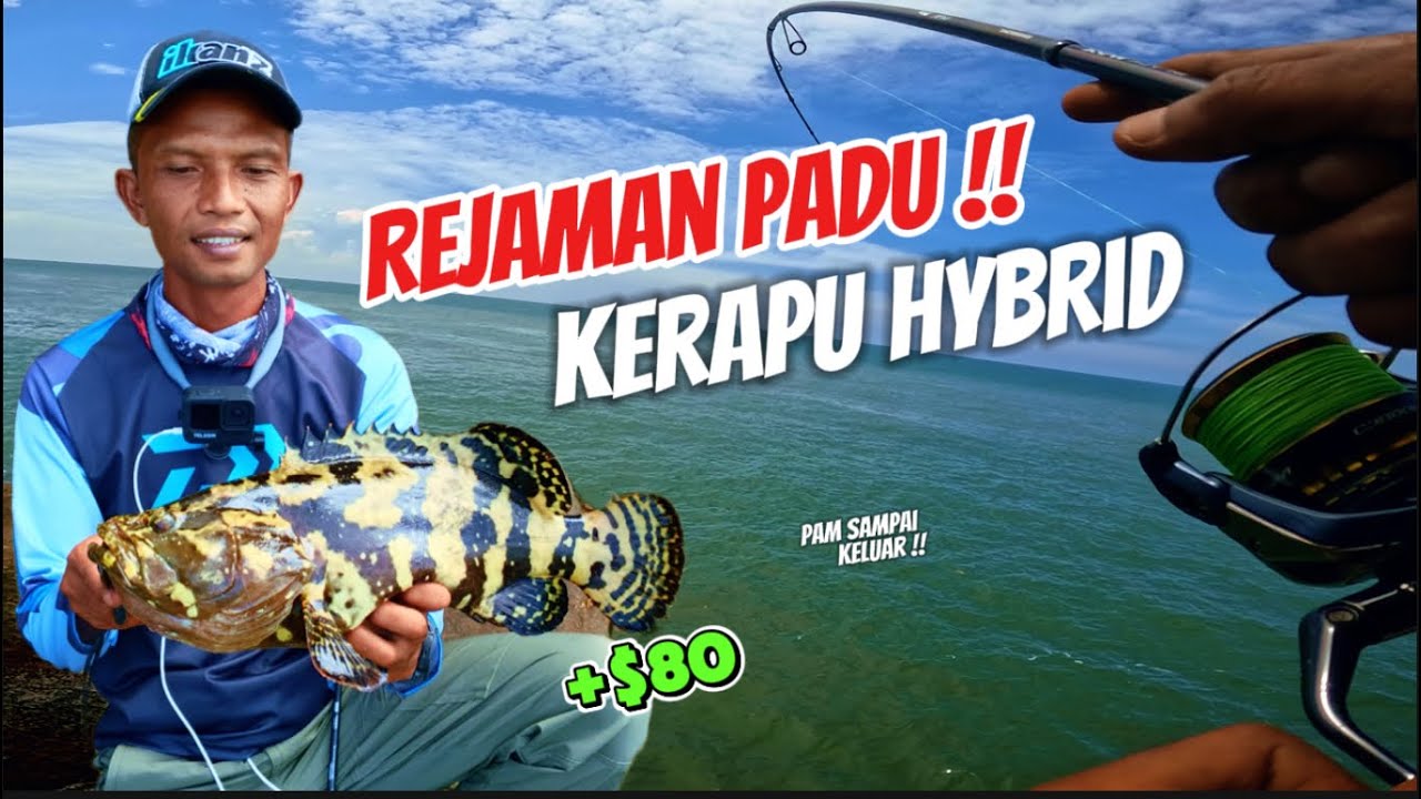 SEKILAS LALU NAMPAK BIASA JA SPOT..TAPI SETELAH DICUBA RUPANYA ADA PENUNGGUNYA!!!