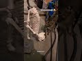 Cute and funny pets compilations... mostly cats #189