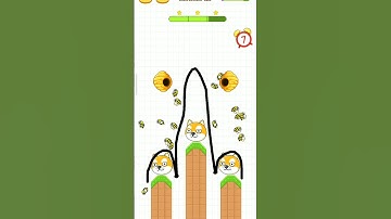 The Cat 😺 Lavel 18 🐝