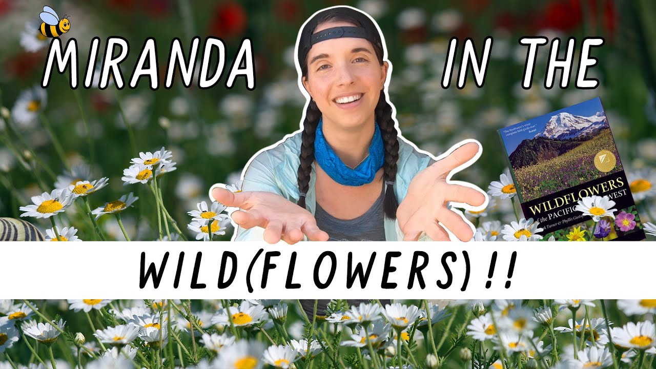 ⁣I Went Hunting for WILDFLOWERS! | Miranda in the Wild