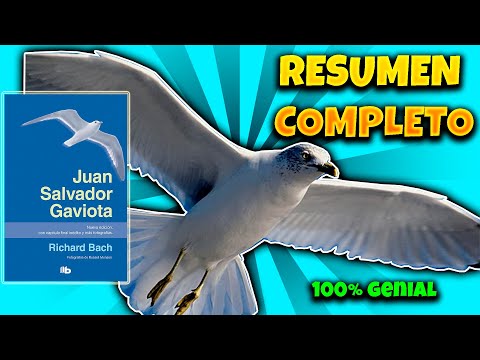 JUAN SALVADOR GAVIOTA RESUMEN 📖 | Análisis y Personajes