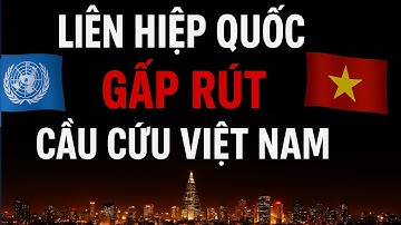 Liên Hợp Quốc Gấp Rút Cầu Cứu Việt Nam Về Vấn Đề Này ?