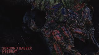 Sorgon x Bageer - Həşərat (Official Audio)