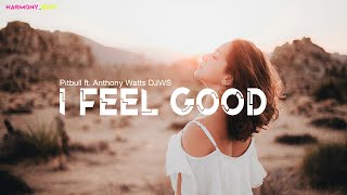 I Feel Good😎 - Pitbull ft. Anthony Watts DJWS HARMONY_BEAT REMIX 