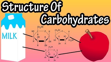 Structure Of Carbohydrates - What Are Carbohydrates Made Of -Structure Of Glucose Fructose Galactose