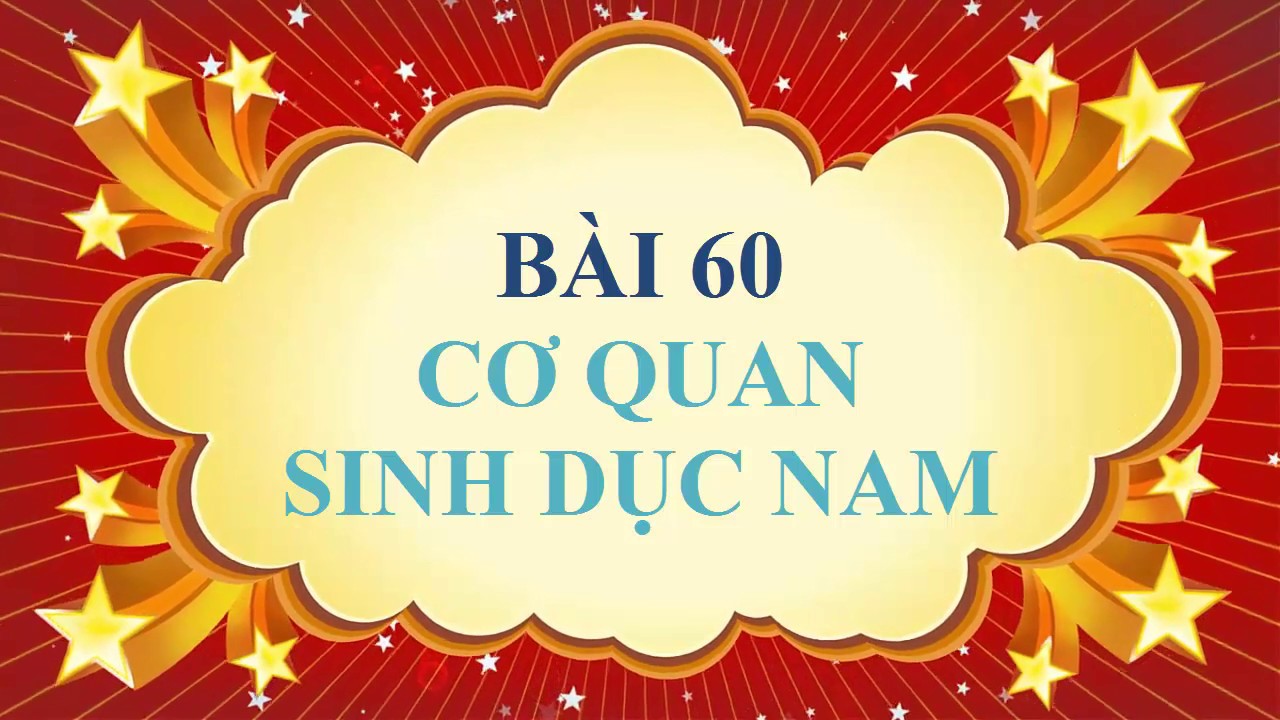 Sách sinh học lớp 8 | Sinh học lớp 8 – Bài 60 – Cơ quan sinh dục nam