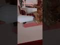 Meesho Finds | asthetic flower vase |#shorts #trending #youtubeshorts #shortvideo #short