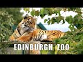 Edinburgh Zoo, Corstorphine, Scotland 2021