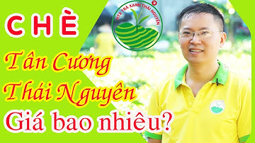 Chè Tân Cương Thái Nguyên giá bao nhiêu | HTX Trà Xanh Thái Nguyên