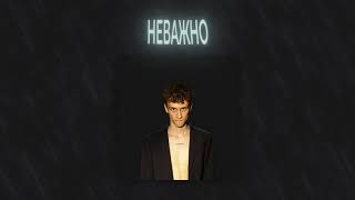 Вишневский - Неважно