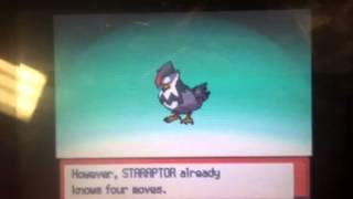 Staraptor!!!