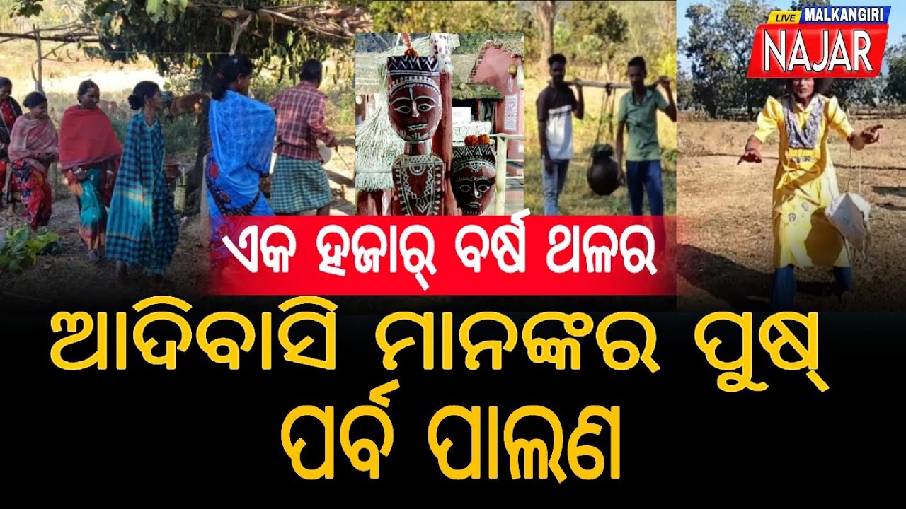 ଏକ ହଜାର ବର୍ଷ ଥଳର ଆଦିବାସି ମାନଙ୍କର ପୁଷ୍ ପର୍ବ ପାଲଣ | 
