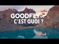 Lagence goodfly cest quoi 