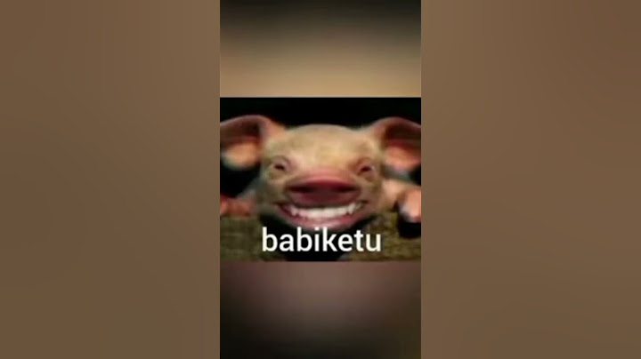 Lucu babi ketu🤣